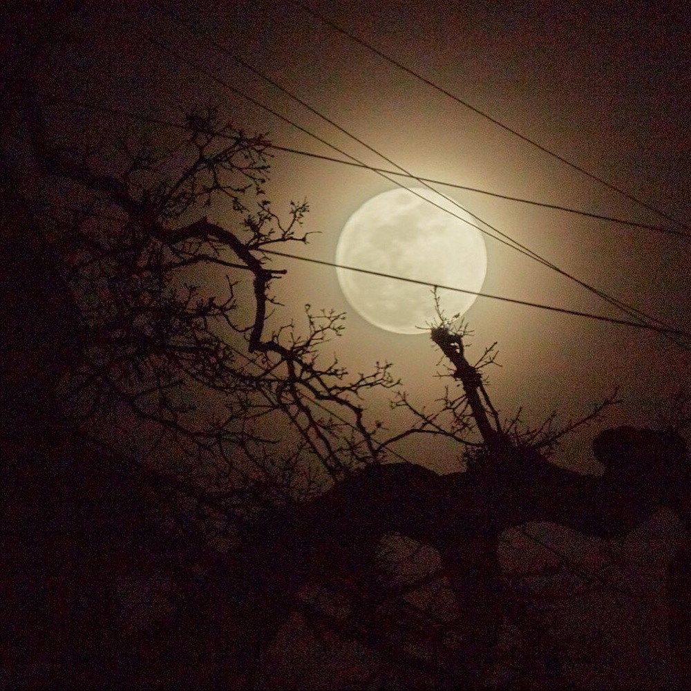 Meet your Posher, Yadira